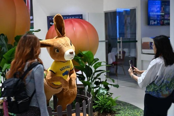 万德资本 时政微观察丨推动全球开放合作的中国担当