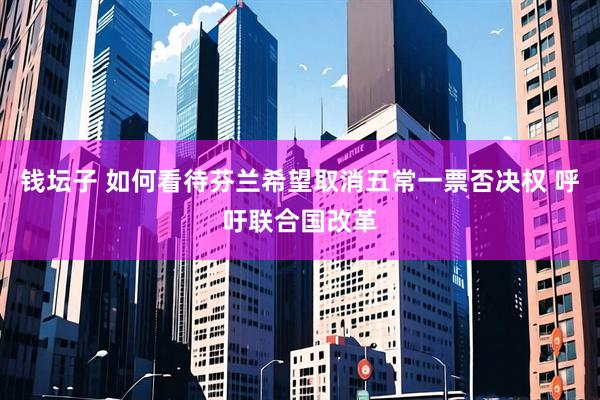钱坛子 如何看待芬兰希望取消五常一票否决权 呼吁联合国改革